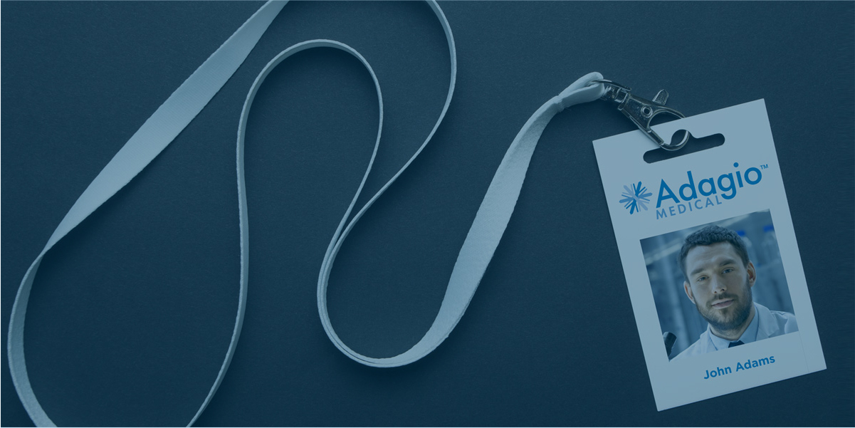 People working on laptops