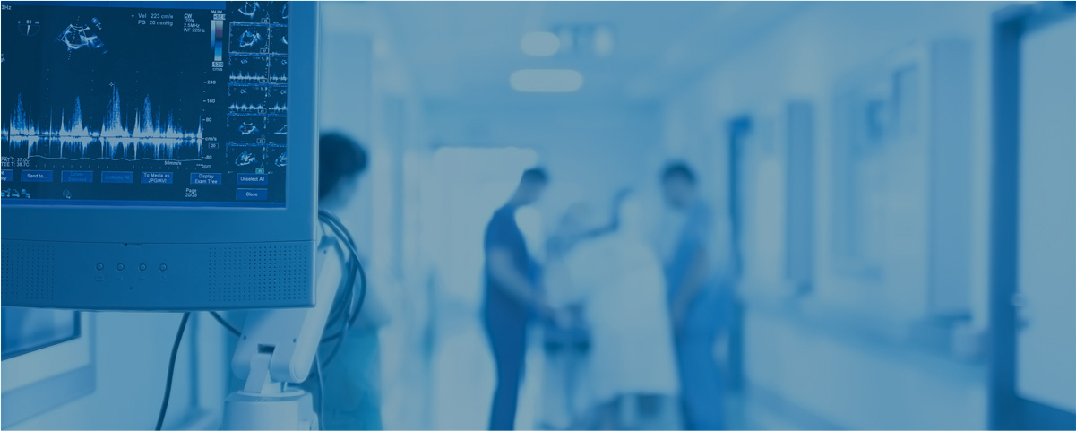 People working on laptops